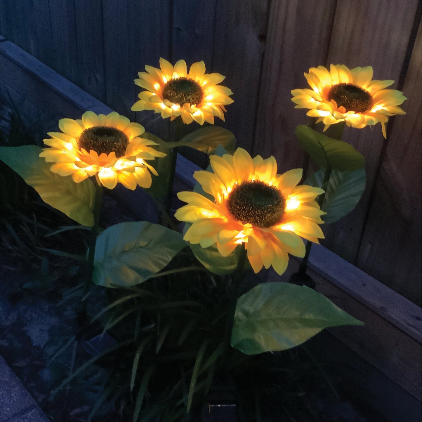 Illuminating Solar Sunflowers™ - [6-PACK]