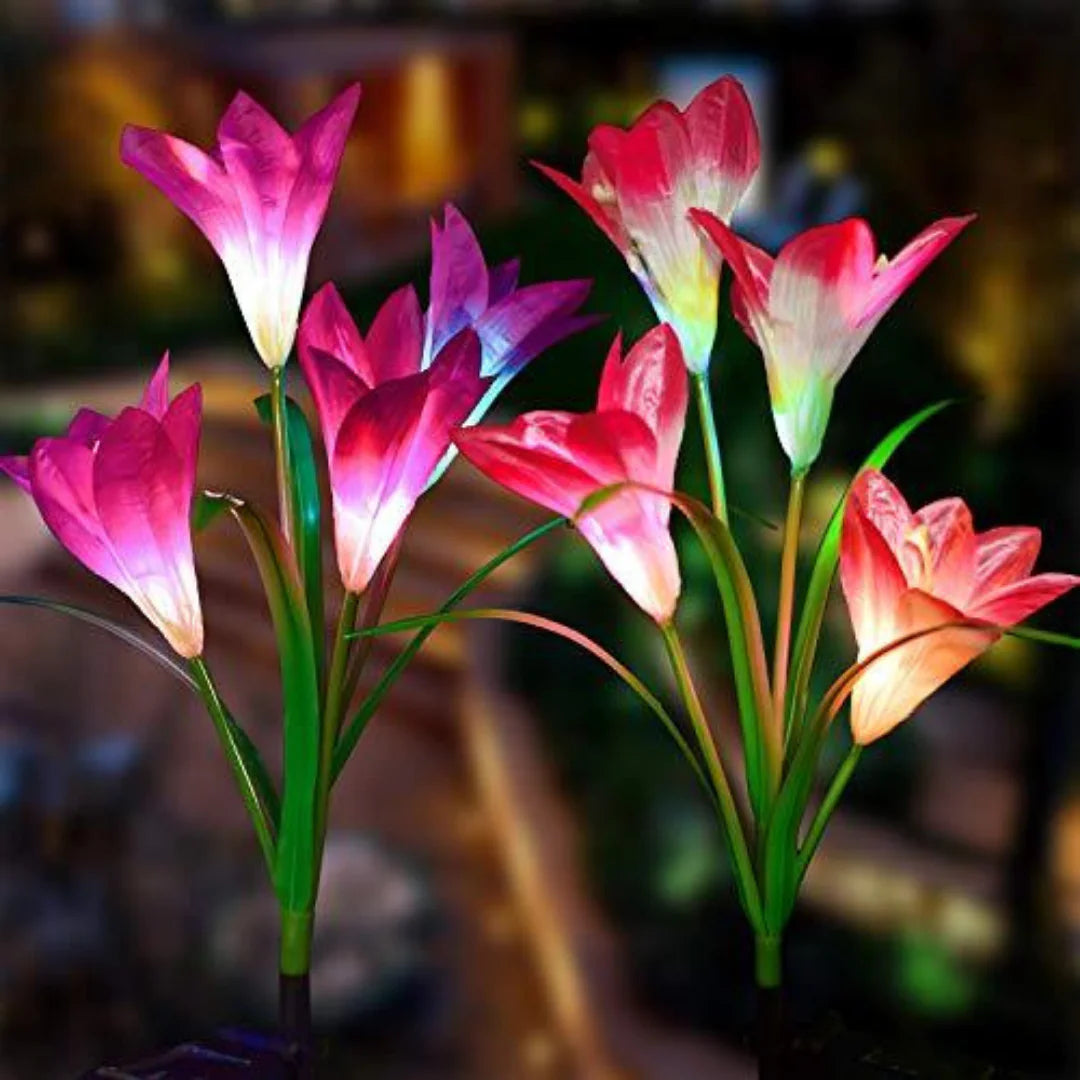 Elegant Eco-Friendly Enchanted Solar Lilies